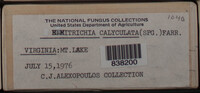 Image Associated With the Occurence
